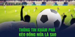 Khám phá sơ bộ thông tin của kèo đồng nửa