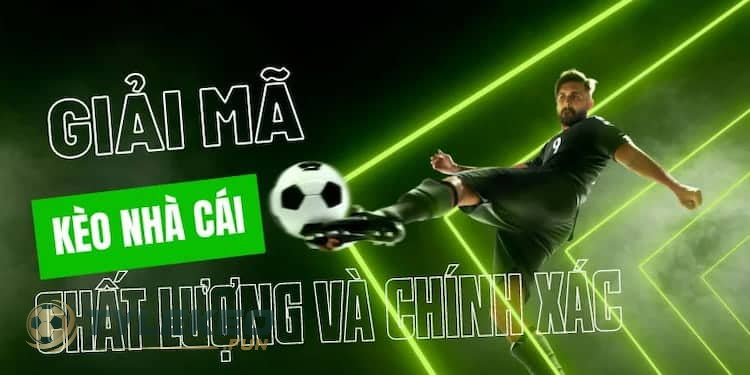 Nhà Cái Ra Kèo Là Gì? Cách Nhà Cái Ra Kèo Dựa Vào Đâu? 2 Quy trình nhà cái ra kèo chi tiết